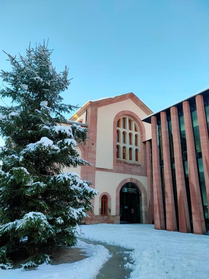 La Maison Bleue, A 20 Mn De Strasbourg, Sur La Route Des Vins, Jusqu'A 6 Personnes, Sélestat Kültér fotó