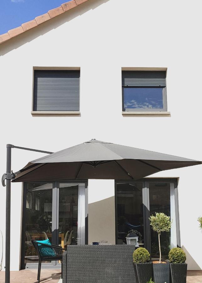 La Maison Bleue, A 20 Mn De Strasbourg, Sur La Route Des Vins, Jusqu'A 6 Personnes, Sélestat Kültér fotó