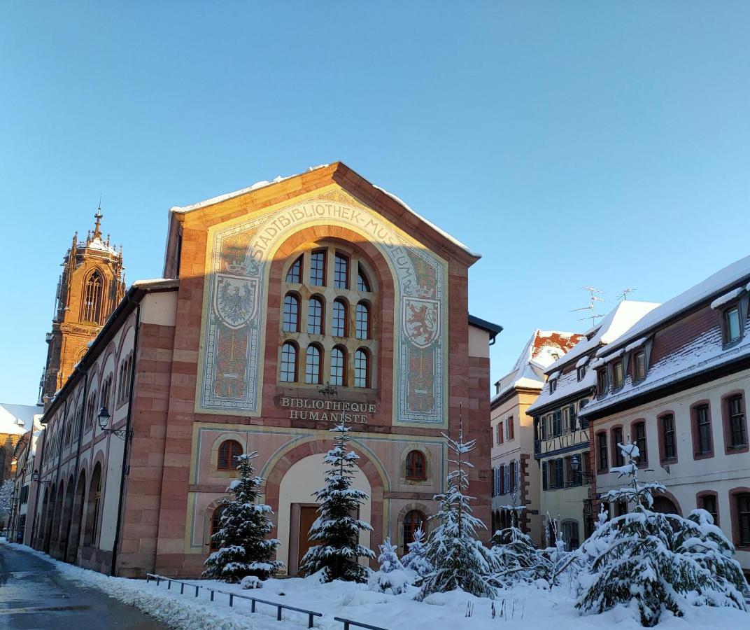 La Maison Bleue, A 20 Mn De Strasbourg, Sur La Route Des Vins, Jusqu'A 6 Personnes, Sélestat Kültér fotó